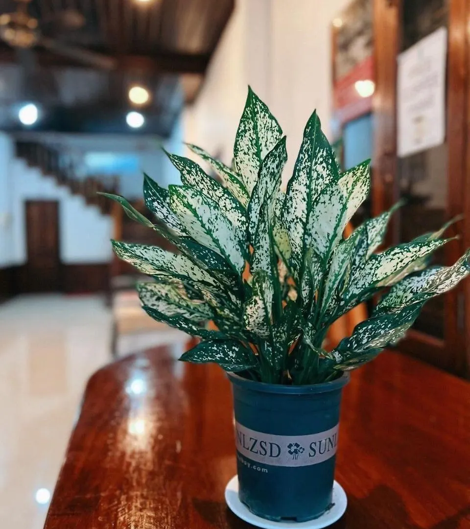Ananta Luangprabang 2 Hotel